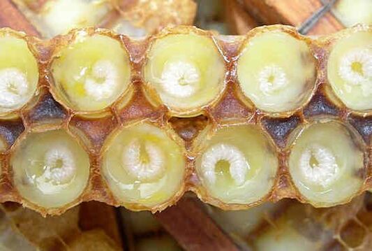 Laptisorul de matca ajuta la accelerarea cresterii penisului